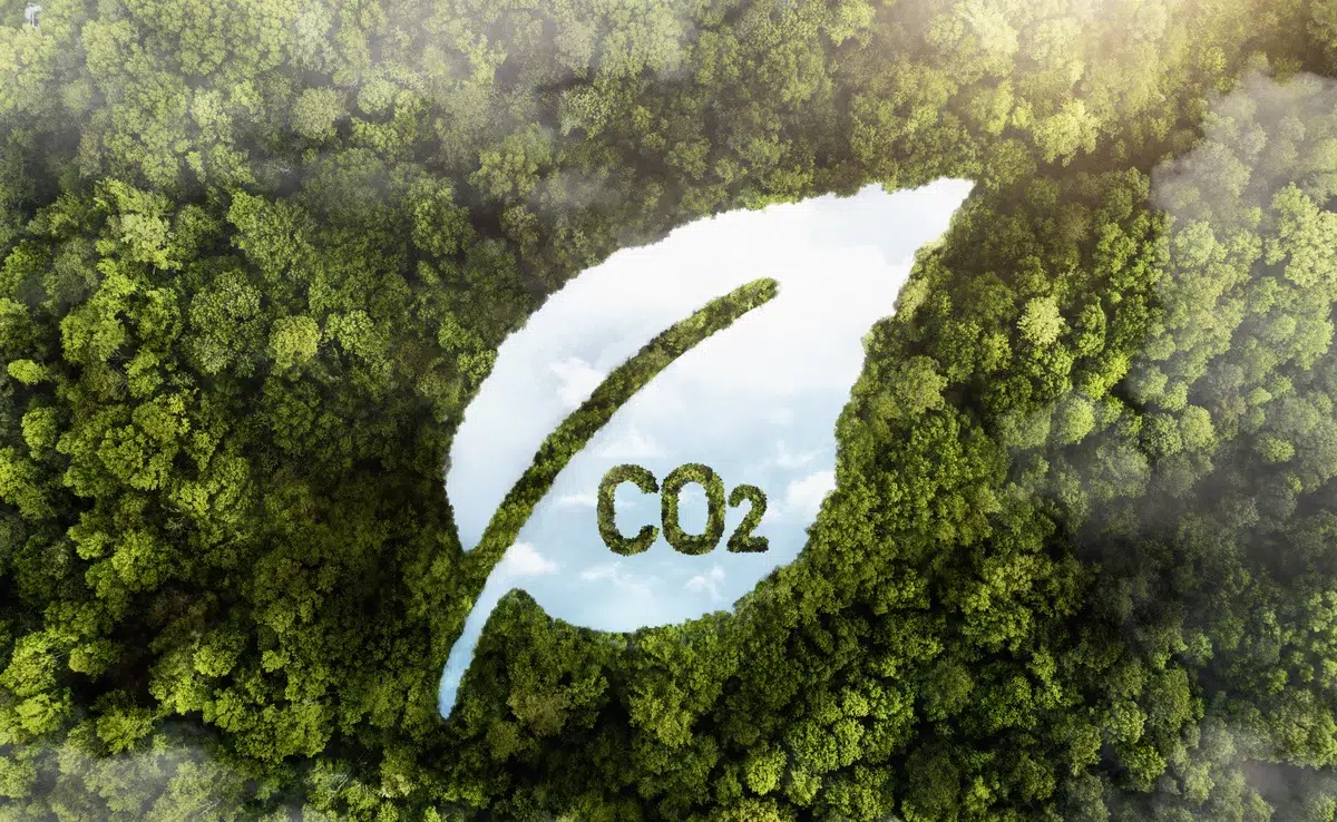 CO2 leaf