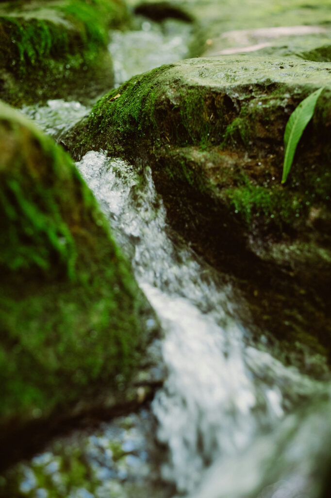 catarata